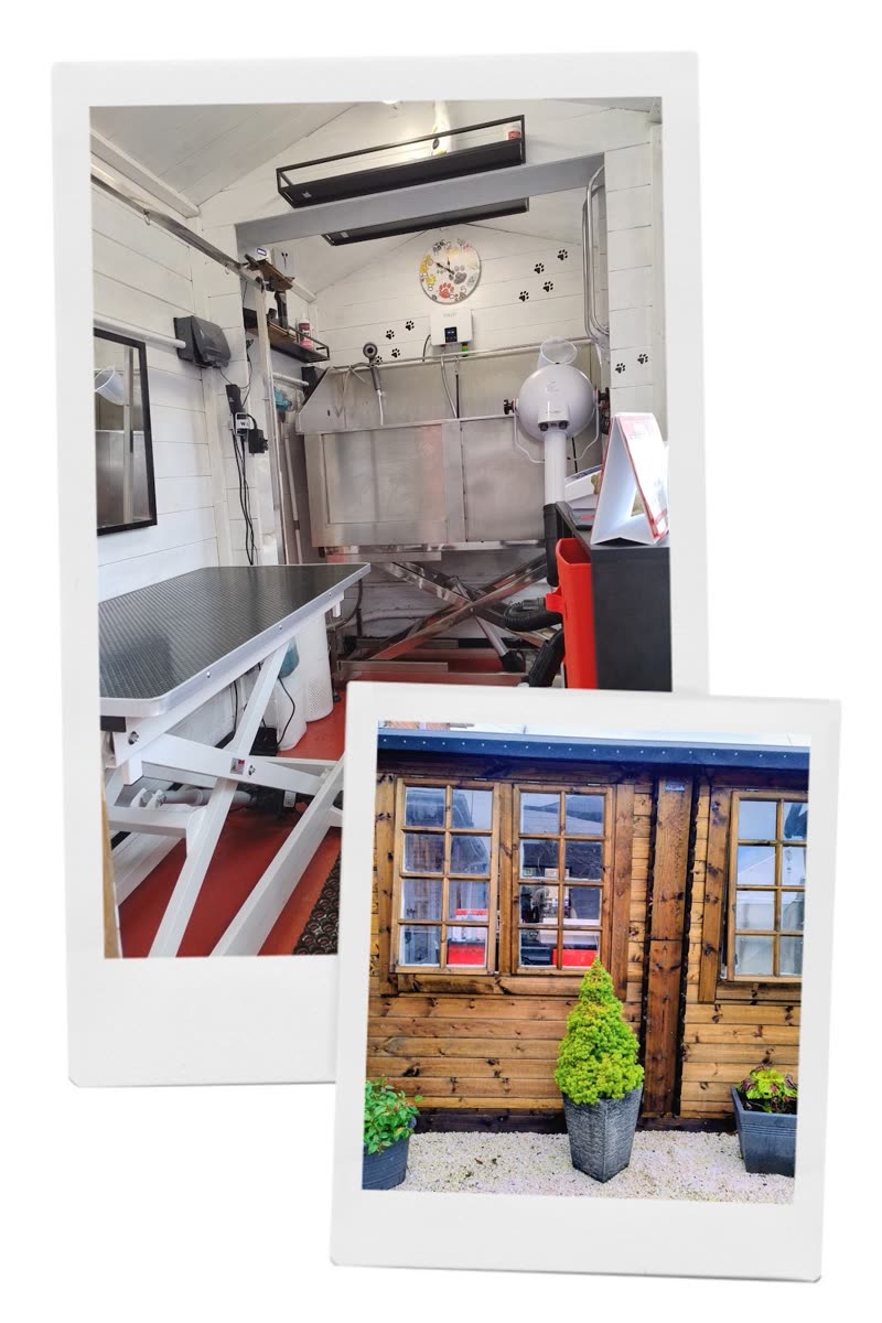 The white-panelled grooming room at White Paws, with hydraulic grooming table, stainless bath and stand dryer